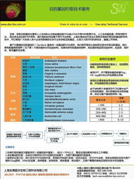 目的基因釣取技術(shù)服務(wù) 上海生博醫(yī)學(xué)生物工程科技有限公司的專(zhuān)業(yè)優(yōu)勢(shì)與網(wǎng)絡(luò)技術(shù)支撐